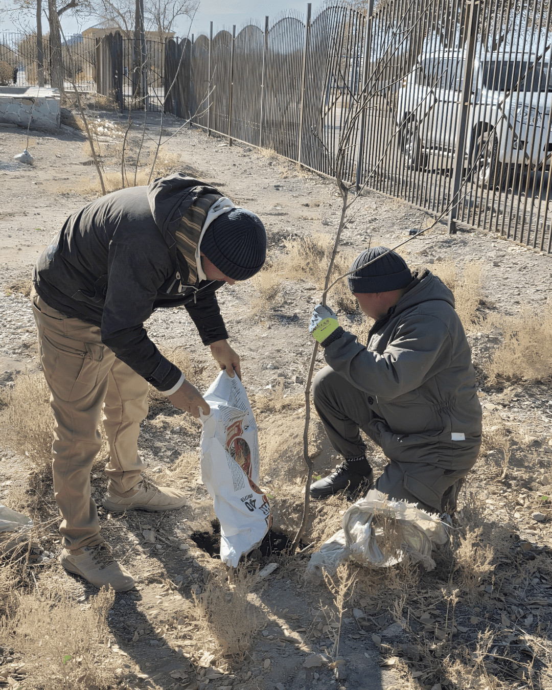 Экологическая акция по посадке деревьев
