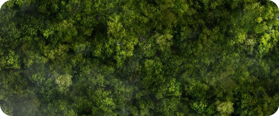 Охрана атмосферного воздуха