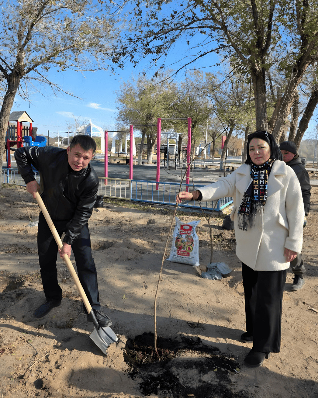 В Балхаше высажено свыше полутора тысяч деревьев и кустарников